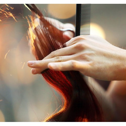 Servicios de Peluquería